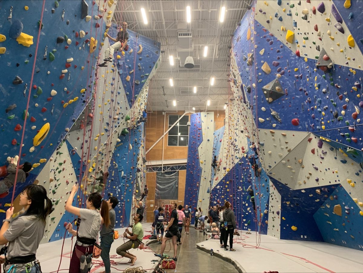 Introduction to Sports - Rock Climbing!